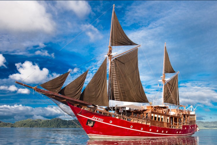 The Arenui liveaboard diving boat is a traditional and magnificent Phinisi, wooden designed sailing vessel with the purpose of helping the visitors to explore the magnificent Indonesian Archipelago. On Arenui, you can explore the world’s number one site offering diverse marine life, including Raja Ampat, Alor Maluku, Komodo, and beyond! The Arenui liveaboard diving ship offers professional massage and spa treatment to our divers. Arenui liveaboard dive ship provides a culture and style as you sail through the beautiful Colar Island. The boat is here to provide you with convenience equipped dive liveaboard, combined with artistic touches and a 5-star luxury hotel. Unlike land resorts, Arenui liveaboard dive resort drops you directly at the Indonesian dive site.