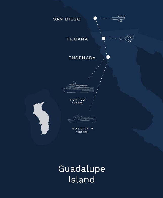 Guadalupe