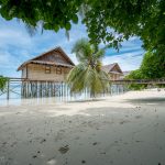 Papua Paradise
